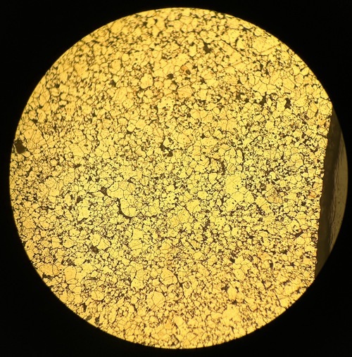 2024/10/18 SUS Result示意圖