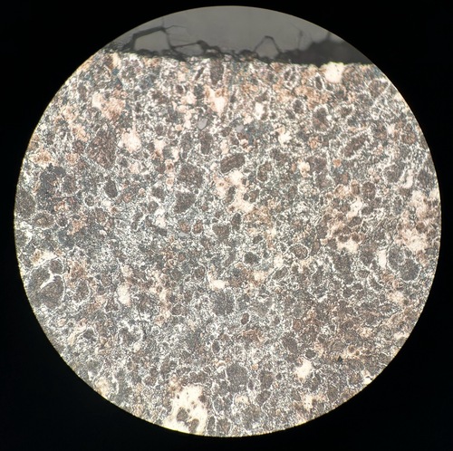 2024/10/24 Fe Result